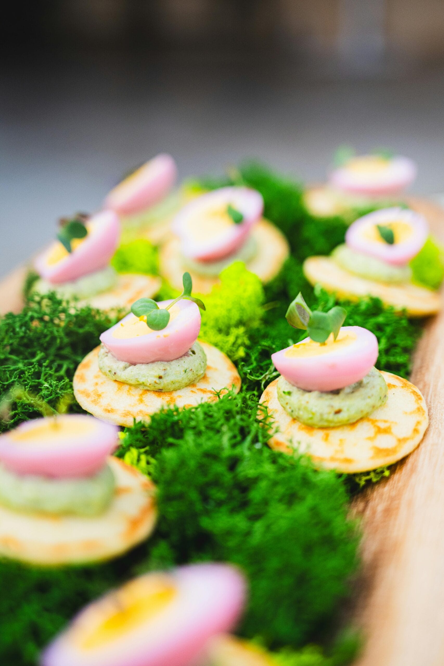 Colorful finger foods elegantly displayed on a bed of greens, perfect for culinary presentations.